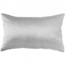 Pack of 2 SILK cushion covers